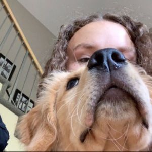 Meet your Posher, Abby